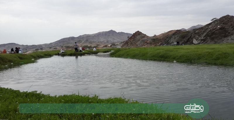  وادي البرداني بمحافظة بارق