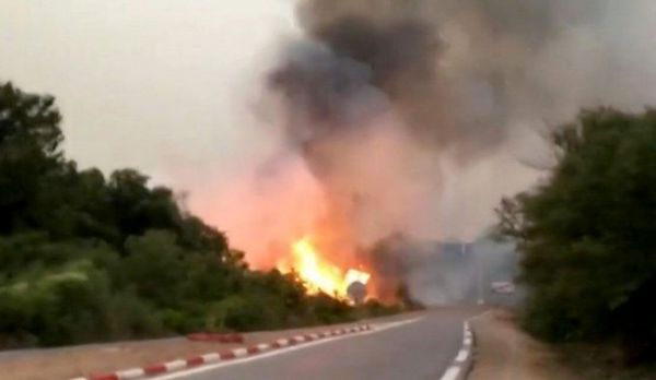 #الجزائر: حرائق الغابات تودي بحياة 26 شخصا شرقي البلاد