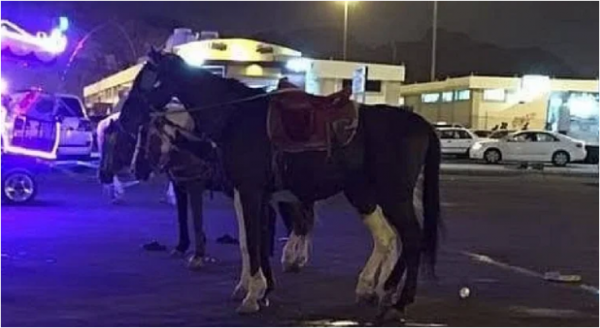 في مكة التحقيق في أسباب وفاة طفلة بعد سقوطها من على ظهر حصان