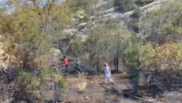 فيديو- مدني تنومة يُخمد حريقًا في عددًا من المواقع بغابات المُحافظة