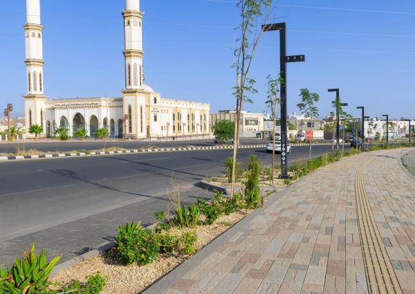 أكثر من 1400 شجرة بونسيانا وجاكرندا تزين طريقي المحالة والأمير سلطان ضمن مشاريع أنسنة أمانة عسير