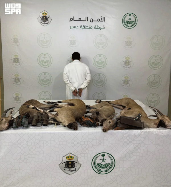 في عسير ضبط مواطن صاد «وعلاً» مهدداً بالانقراض