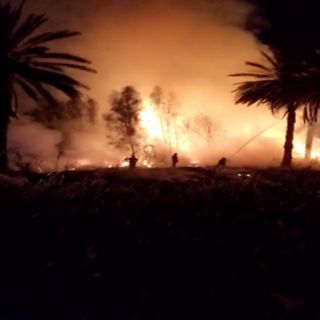 بالصور - مدني تيماء يخمد حريق نشب في أحدى مزارع النخيل بالمحافظة