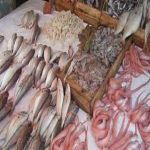حملة لمقاطعة أسواق السمك بالمملكة لإجبار التجار على خفض الأسعار