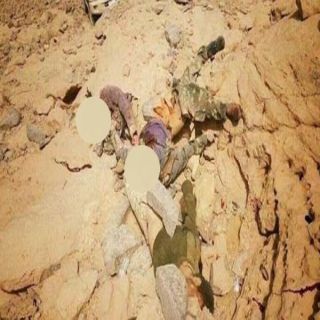 بالصور - من يُحاول المساس بحدود المملكة هذا مصيره