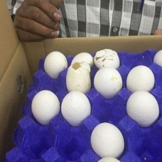 أمانة #نجران تضبط كمية بيض مجهولة المصدر