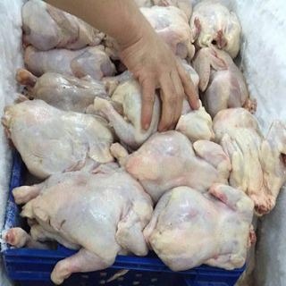 إحباط توزيع كميات من الدجاج الفاسد بـ #مكة المكرمة