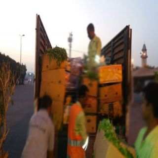 غرامات بقيمة ٣١٠ ألف ريال بحق المخالفين في سوق #الدمام المركزي