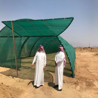 بالصور مُحافظ #بارق ورئيس البلدية  يقفان على طريق الجامعة و مشتل البلدية