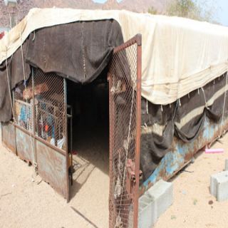 مُسن يعول (7) أشخاص يعيش داخل قفص من حديد منذُ10 أعوام بوادي بن هشبل