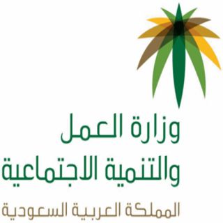 العمل والتنمية الاجتماعية" تطلق المرحلة الأولى من مشروع الخدمات الإلكترونية لمستفيدي الضمان الاجتماعي