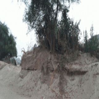 نهب رمال أودية ( ثلوث المنظر ) بين تعطيل الجهات وتهاون مشائخ القبائل