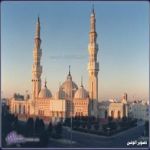 "عرعر" مواطن يضرب والد زوجته ويدهس أبن اخته  في برية عرعر