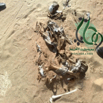 "الرياض" مدني الرياض يعثر على جثة متحللة في الحائر