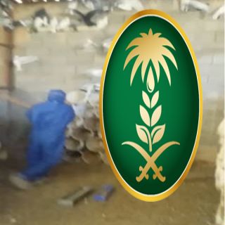 وزارة البيئة تتفاعل مع مقطع مُتداول لعمالة اثناء عملية التخلص من الطيور