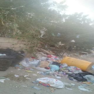 بالصور - تراكم النفايات بقرى ثلوث المنظر يُثير إستياء الأهالي