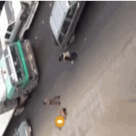 "الرياض" بالفديو- سقوط مواطن عارياً من علو جسر بالرياض