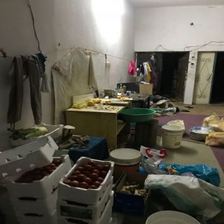 #أمانة_الشمالية تضبط مطبخ داخل سكن عمالة