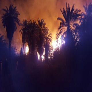 تبوك :حريق اشجار ونخيل بوادي قراقر يستنفر فرق الدفاع المدني
