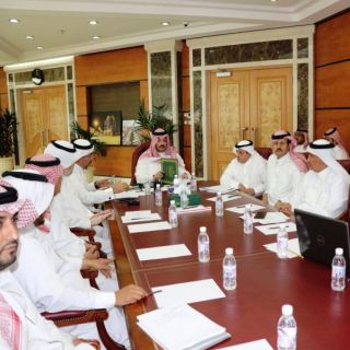 نائب أمير عسير  يتابع أعمال المشاريع الاستراتيجية والحيوية في المنطقة