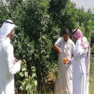 شاهد مكتب بيئة #المجاردة يزور موقع تصوير عدسة "بن جاري" في ثلوث المنظر