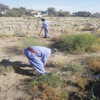 عسير :بلدية مدينة سلطان تعالج مظاهر التشوه البصري