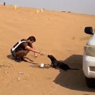في مشهد إنساني رجل أمن يترجل من دوريته ليسقي كلباً انهكه العطش