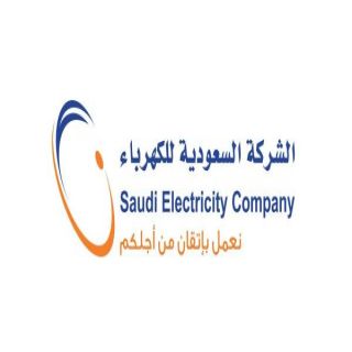 الكهرباء تُطلق خدمة "برق" لإيصال الكهرباء خلال 9 أيام لقطاع الأعمال