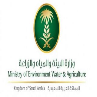 تفاعلاً مع "وطنيات" بيئة عسير تُسير فرق ميدانية لمراقبة اسراب الجراد