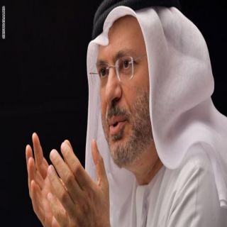 #قرقاش :التحالف السعودي الإماراتي ضرورة استراتيجية