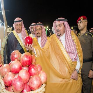 سمو أمير القصيم يرعى اليوم الذهبي لمهرجان الرمان  بمركز الشيحية