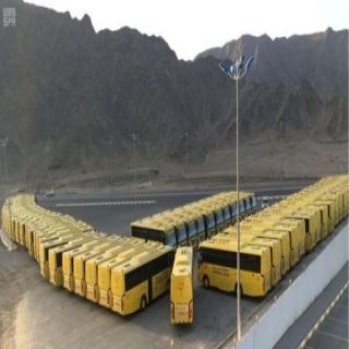 النقل التعليمي يُعلن جاهزية أسطوله المُكوّن من 25 ألف حافلة