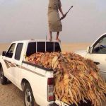 القبض على مرتكبي مجزرة صيد الضبان بالتعاون مع الداخلية