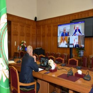 وزراء الخارجية العرب:ضم إسرائيل لأي أراضٍ فلسطينية جريمة حرب
