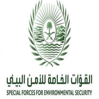 القوات الخاصة للأمن البيئي تضبط مخالفين لأنظمة الصيد في إحدى المحميات في #الرياض