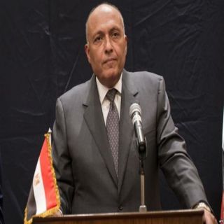 مصر ترد على تصريحات تركيا "السلبية"