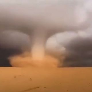فيديو - اعصار قمعي شمال #السعودية يستطيع حمل الإبل والسيارة