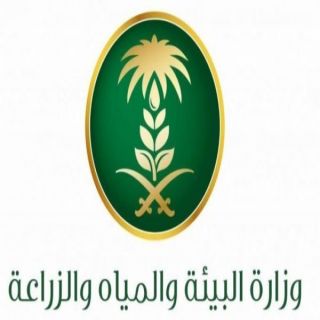 البيئة تدعو مربي الماشية والنحالين بالإبتعاد عن مواقع أسراب الجراد في الليث