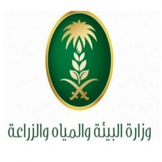 "البيئة" توجّه "المياه الوطنية" بمعالجة الاعتراضات وبيان حق المستفيدين