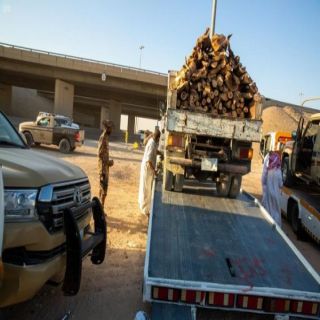الأمن البيئي ضبط 2.3 طن من الحطب المحلي في مدينة الرياض