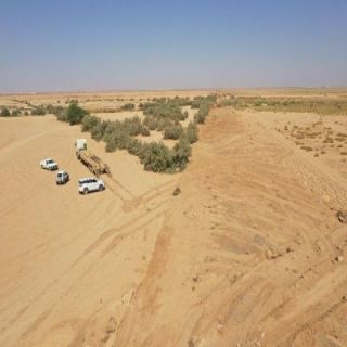 إمارة القصيم تنتهي من تأهيل وإزالة تعديات 60,105م2 من مجرى وادي الرمة بمحافظة رياض الخبراء.