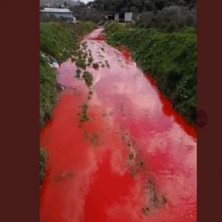 فيديو- مياه أحد الأودية في #فلسطين تتحول للون الأحمر ..تعرف على الأسباب