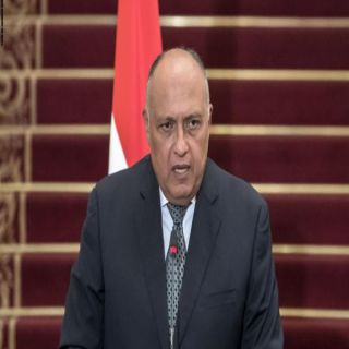 وزير الخارجية المصري ندعم إجراءات السعودية للدفاع عن  نفسها ضد الحوثيين