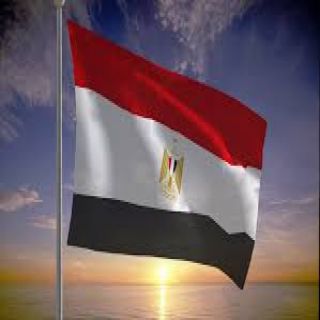#مصر تُدين استمرار الهجمات الإرهابية لميليشيا الحوثي تجاه المملكة