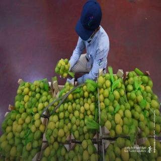 #الغذاء_والدواء": خطة تفتيش استثنائية على المنتجات التي يكثر استهلاكها في رمضان