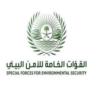 في #جدة قوات الأمن البيئي تضبط 3 يقومون بنقل الرمال وتجريف التربة