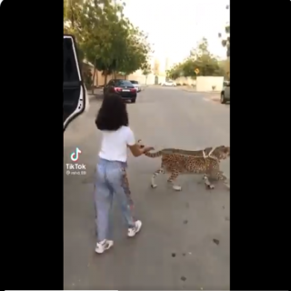 المركز الوطني لحماية الحياة الفطرية يتفاعل مع مقطع فيديو لحيوان مفترس مع طفلة