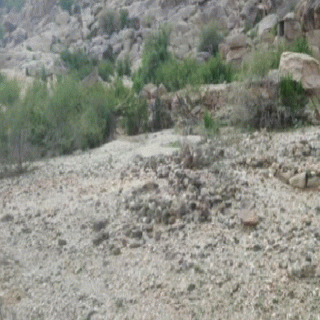 في #بارق : مقبرة شمال ثلوث المنظر تبحث عن متبرع لتسويرها