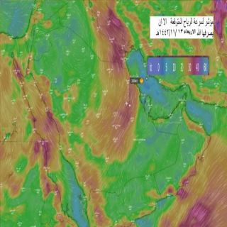أمطار وبرد على المرتفاعات الجنوبية يوم غدًا الأربعاء بتوقعات الحصيني