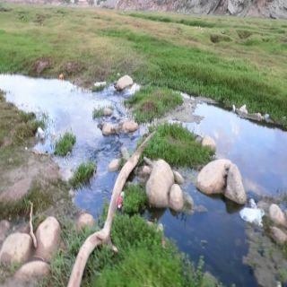 الخضرة والجمال يرسمان جمال طبيعة وادي الخير شرق مُحافظة بارق